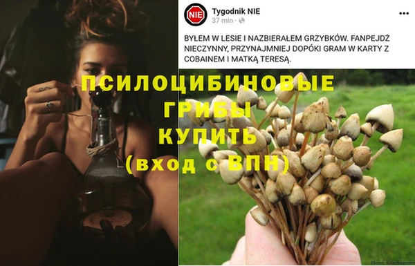 MDMA Армянск