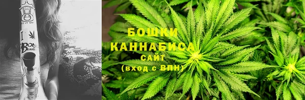 крисы Переславль-Залесский