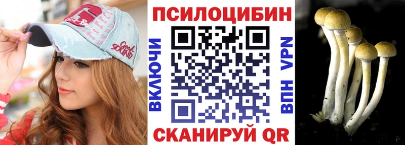 Псилоцибиновые грибы Cubensis  Ельня 